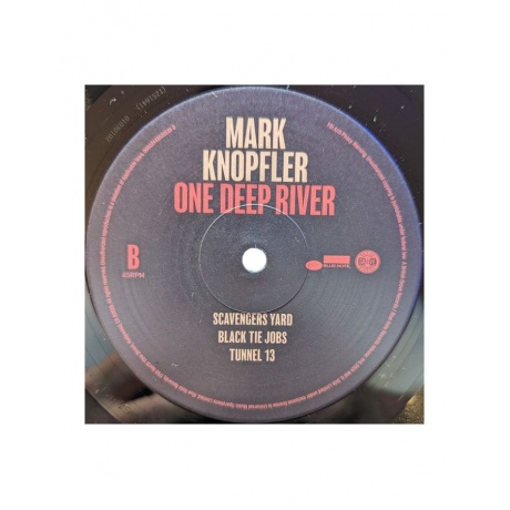 0602445525539, Виниловая пластинка Knopfler, Mark, One Deep River - фото 6