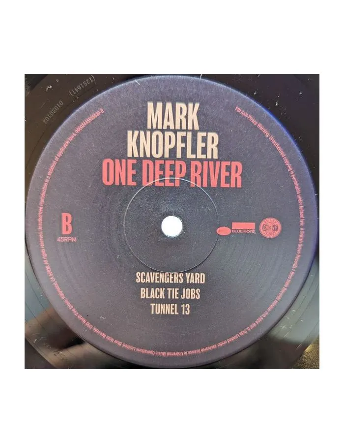 0602445525539, Виниловая пластинка Knopfler, Mark, One Deep River - фото 6
