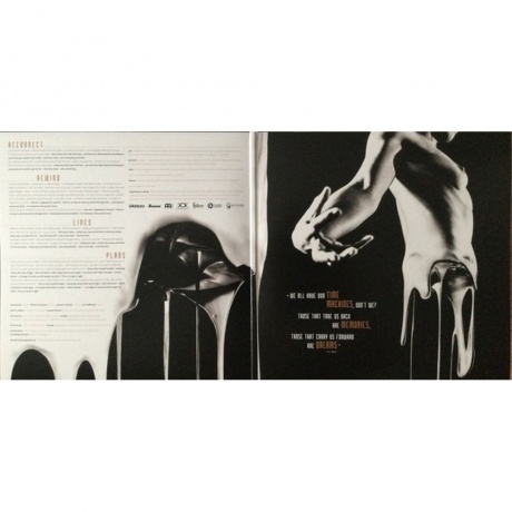 8716059014135, Long Distance Calling, Trips (coloured) виниловая пластинка - фото 3