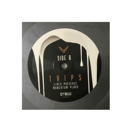 8716059014135, Виниловая пластинка Long Distance Calling, Trips (coloured) - фото 2