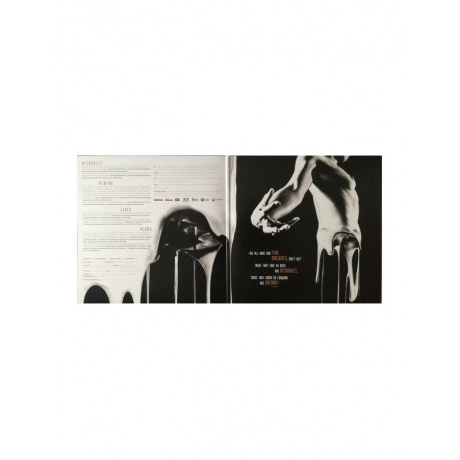 8716059014135, Виниловая пластинка Long Distance Calling, Trips (coloured) - фото 3