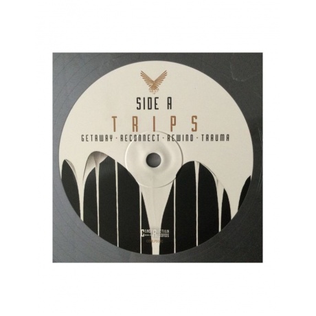 8716059014135, Виниловая пластинка Long Distance Calling, Trips (coloured) - фото 4