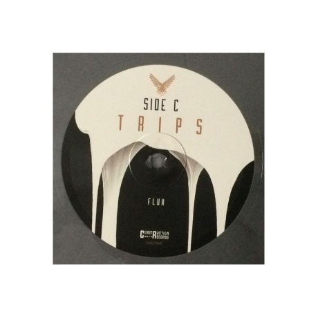 8716059014135, Виниловая пластинка Long Distance Calling, Trips (coloured) - фото 5
