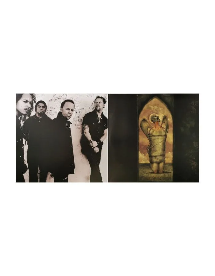 0602455726629, Виниловая пластинка Metallica, St. Anger (coloured) - фото 5