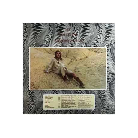 Nico - Desertshore (0887830014618) виниловая пластинка - фото 2