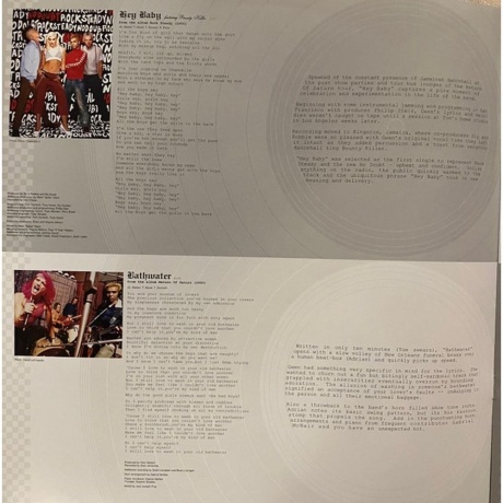 No Doubt - The Singles 1992 - 2003 (0602465213492) виниловая пластинка - фото 11