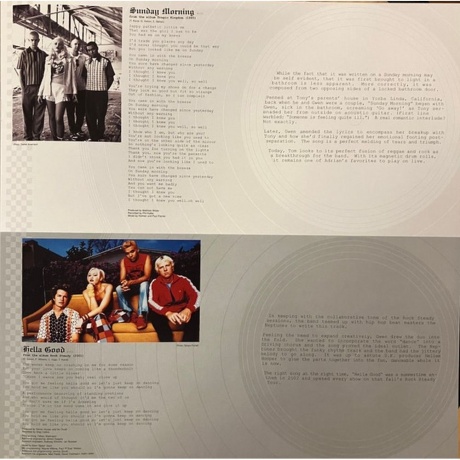 No Doubt - The Singles 1992 - 2003 (0602465213492) виниловая пластинка - фото 12