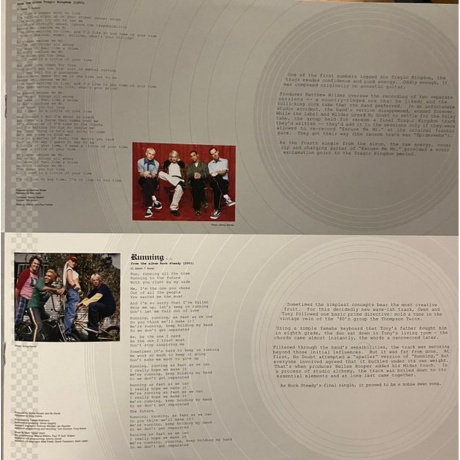 No Doubt - The Singles 1992 - 2003 (0602465213492) виниловая пластинка - фото 14