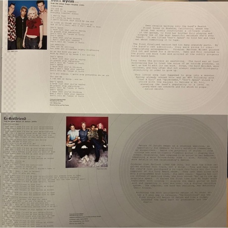 No Doubt - The Singles 1992 - 2003 (0602465213492) виниловая пластинка - фото 16