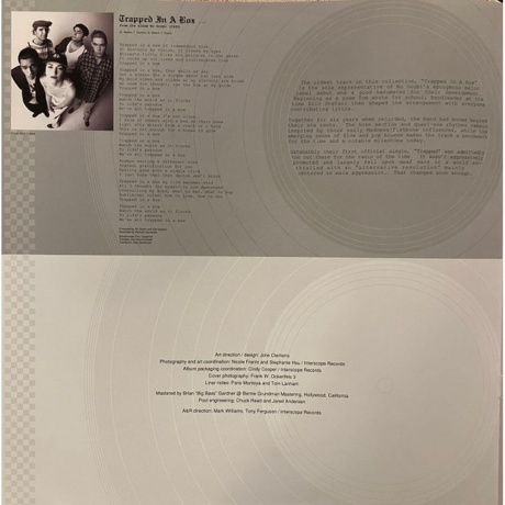 No Doubt - The Singles 1992 - 2003 (0602465213492) виниловая пластинка - фото 17