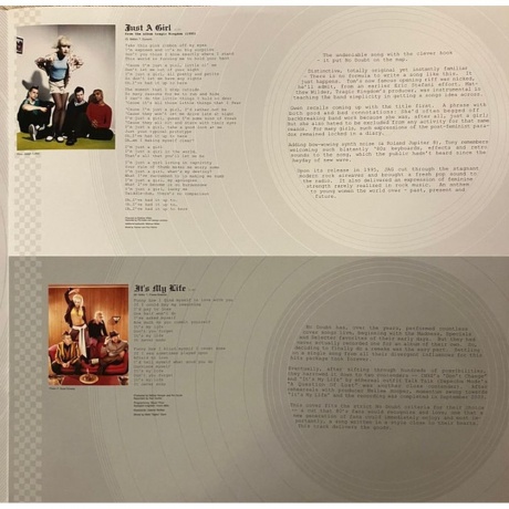 No Doubt - The Singles 1992 - 2003 (0602465213492) виниловая пластинка - фото 10