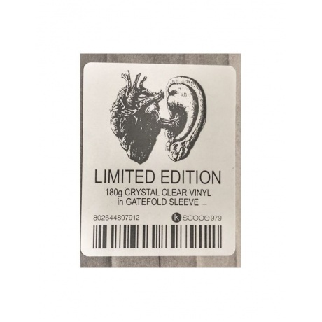 Nosound - Allow Yourself (coloured) (0802644897912) виниловая пластинка - фото 9