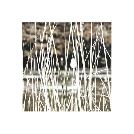 Nosound - Lightdark (coloured) (0802644585017) виниловая пластинка - фото 6