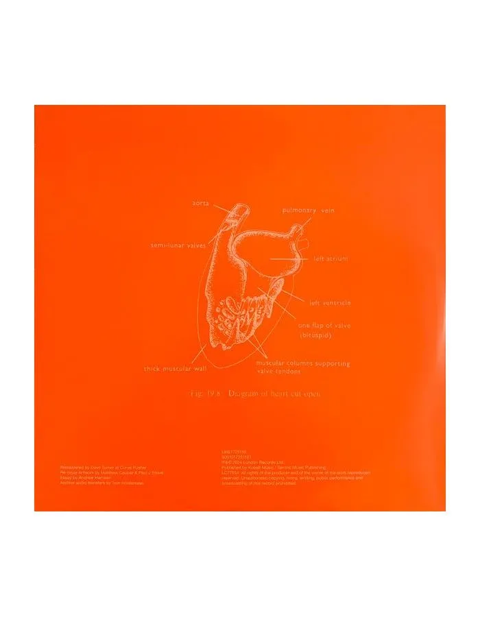 5061017251187, Виниловая пластинка Orbital, Orbital (Green Album) - фото 9