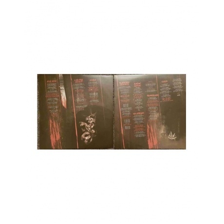 Oomph! - Ritual (0840588118960) виниловая пластинка - фото 5