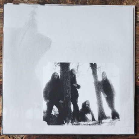 0196588611810, Opeth, Damnation виниловая пластинка - фото 5