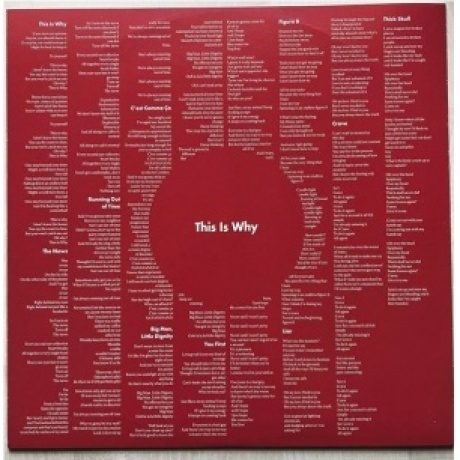 Paramore - This Is Why (0075678635526) виниловая пластинка - фото 6