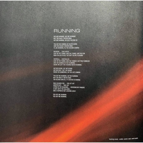 Pearl Jam - Dark Matter (0602458971163) виниловая пластинка - фото 11