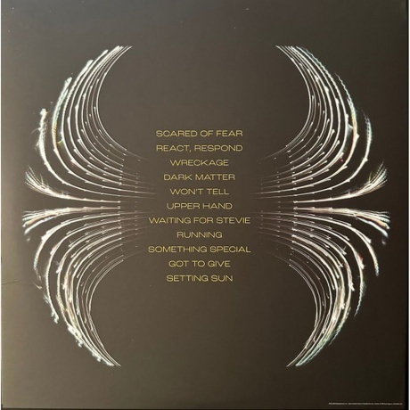 Pearl Jam - Dark Matter (0602458971163) виниловая пластинка - фото 4