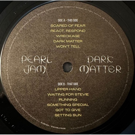 Pearl Jam - Dark Matter (0602458971163) виниловая пластинка - фото 5
