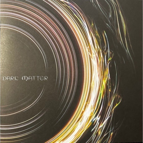 Pearl Jam - Dark Matter (0602458971163) виниловая пластинка - фото 7