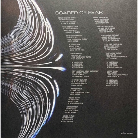 Pearl Jam - Dark Matter (0602458971163) виниловая пластинка - фото 10