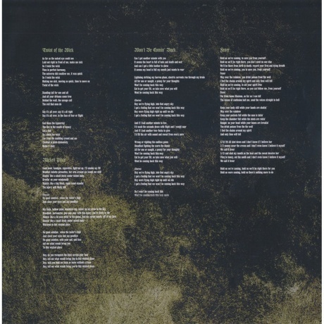 Overkill - Scorched (coloured) (4065629695743) виниловая пластинка - фото 13