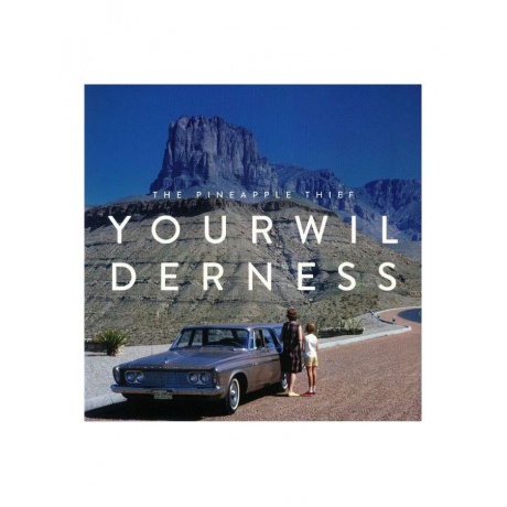 0802644801018, Виниловая пластинка Pineapple Thief, The, Your Wilderness - фото 1