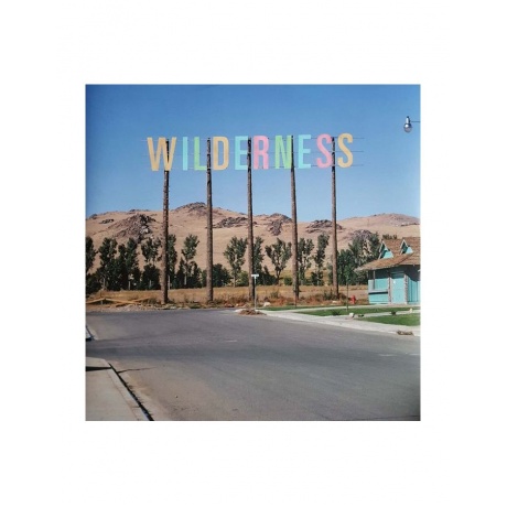 0802644801018, Виниловая пластинка Pineapple Thief, The, Your Wilderness - фото 4