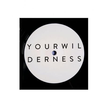 0802644801018, Виниловая пластинка Pineapple Thief, The, Your Wilderness - фото 5