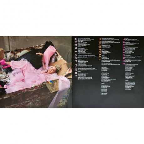 Pink - Trustfall (coloured) (0196587726614) виниловая пластинка - фото 5