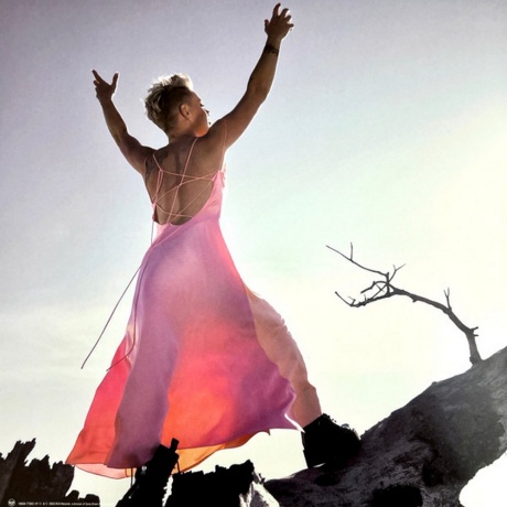 Pink - Trustfall (coloured) (0196587726614) виниловая пластинка - фото 10