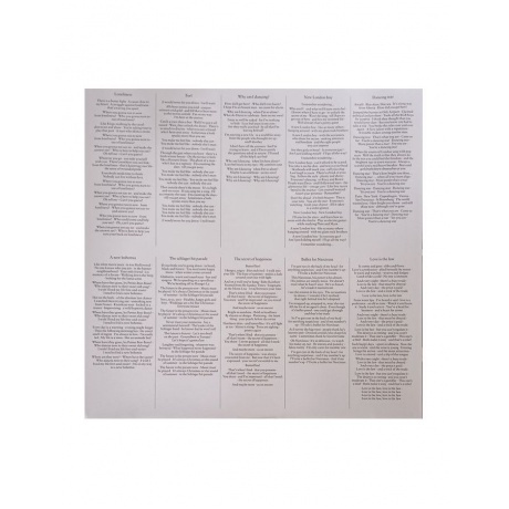 Pet Shop Boys - Nonetheless (5054197903540) виниловая пластинка - фото 5