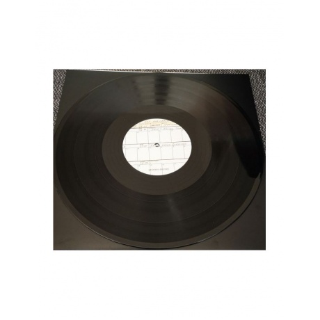 5013929360716, Виниловая пластинка Residents, The, Not Available - фото 12