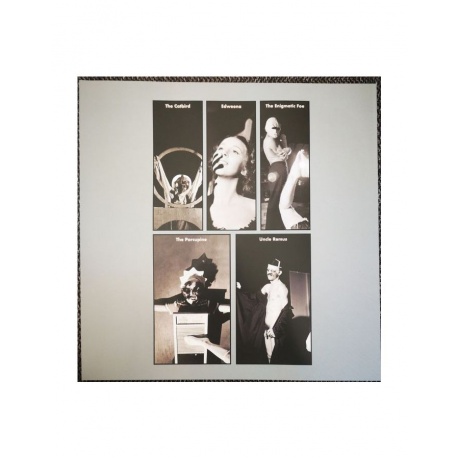 5013929360716, Виниловая пластинка Residents, The, Not Available - фото 6