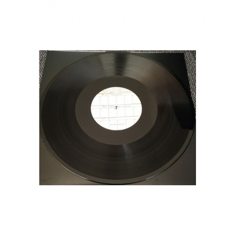 5013929360716, Виниловая пластинка Residents, The, Not Available - фото 9