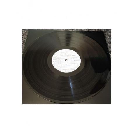 5013929360716, Виниловая пластинка Residents, The, Not Available - фото 10