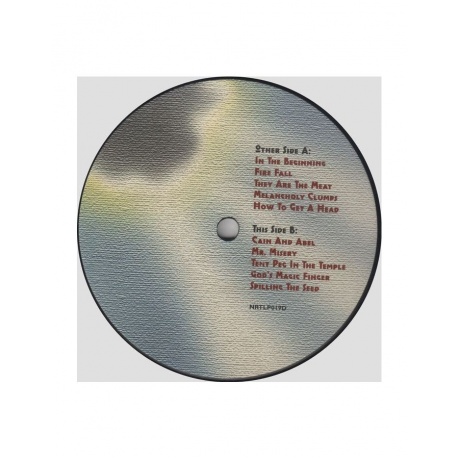 5013929361911, Виниловая пластинка Residents, The, Wormwood - фото 4