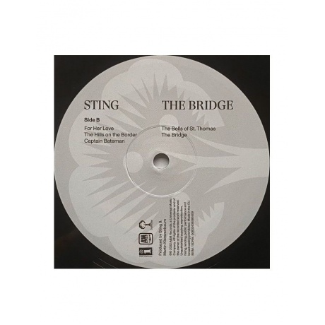 0602445785100, Виниловая пластинка Sting, The Bridge - фото 6