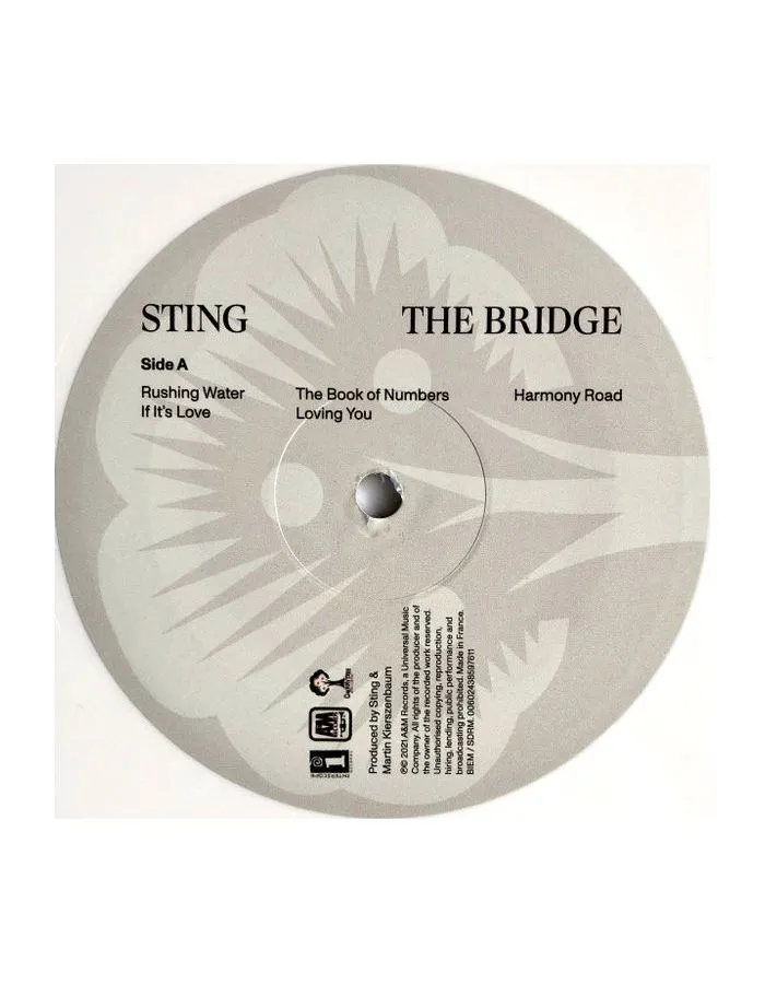0602438597611, Виниловая пластинка Sting, The Bridge (coloured) - фото 5