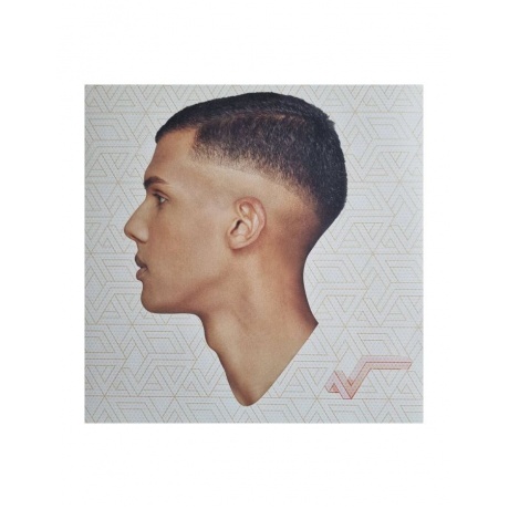 0602445485499, Виниловая пластинка Stromae, Racine Carree - фото 1