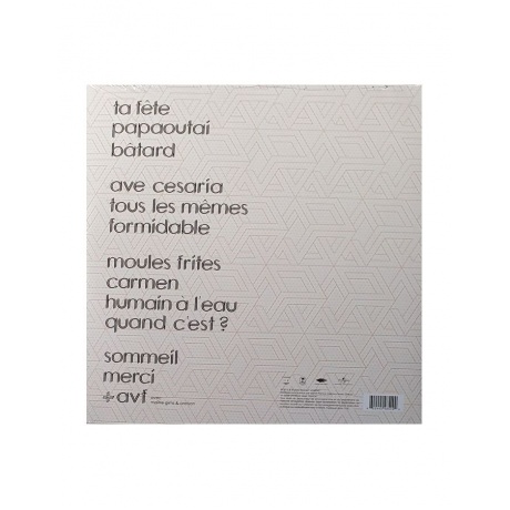 0602445485499, Виниловая пластинка Stromae, Racine Carree - фото 2