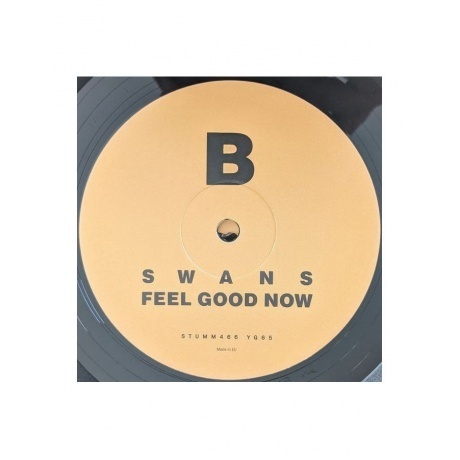 Swans - Feel Good Now (5400863046088) виниловая пластинка - фото 4