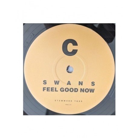 Swans - Feel Good Now (5400863046088) виниловая пластинка - фото 5