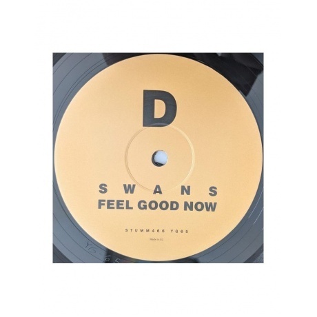 Swans - Feel Good Now (5400863046088) виниловая пластинка - фото 6