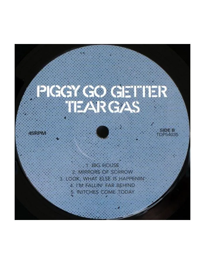 5060672880350, Виниловая пластинка Tear Gas, Piggy Go Getter - фото 6