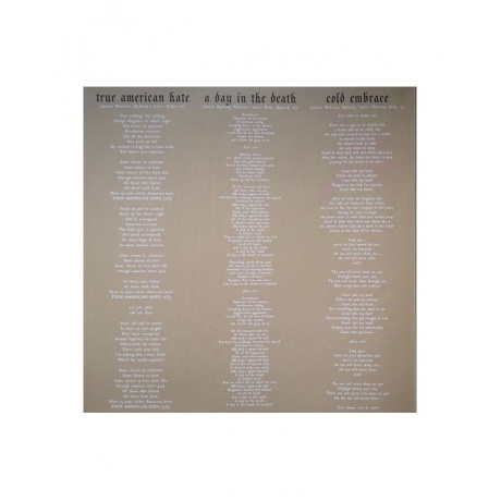 Testament - Dark Roots Of Earth (coloured) (0727361296834) виниловая пластинка - фото 5