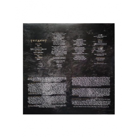 Testament - Dark Roots Of Earth (coloured) (0727361296834) виниловая пластинка - фото 6