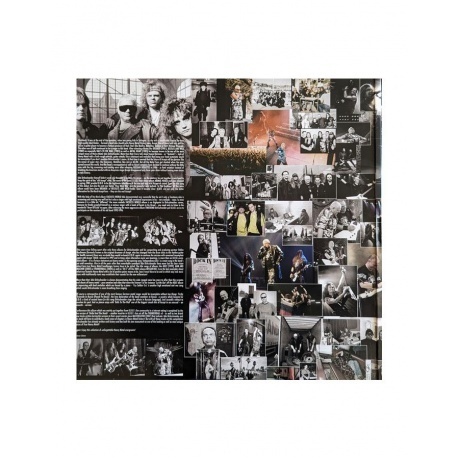 U.D.O. - Metallized (coloured) (0884860572217) виниловая пластинка - фото 2