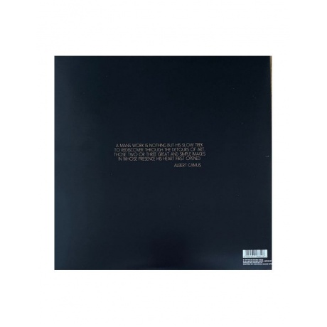 0602537288526, Виниловая пластинка Walker, Scott, Scott 4 - фото 4